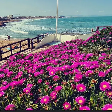 Appartement La Mata,